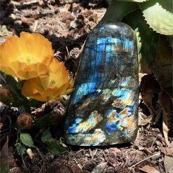 Labradorite polie 1,61kg