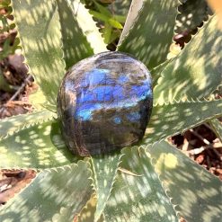 Alternative view of Labradorite polie 791gr