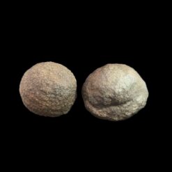 Moquis Balls Taille M