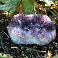 Coussin d'améthyste 2,6kg