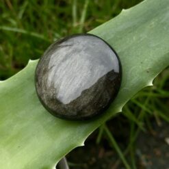 Golden Obsidian Disk 4 to 4.5 cm