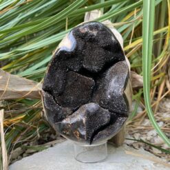 Oeuf septaria sauvage 1,55 KG