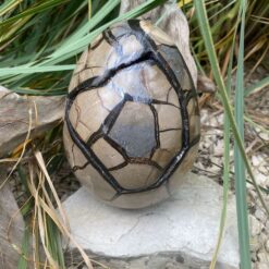 Alternative view of Oeuf septaria sauvage 3,27 KG