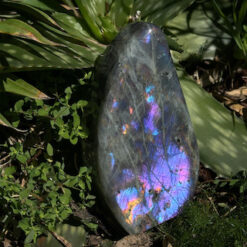 labradorite violette polie 858g