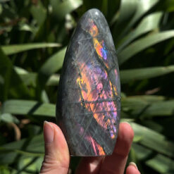 labradorite violette polie 230g
