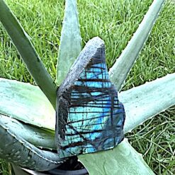 Labradorite semi-polie 199 G