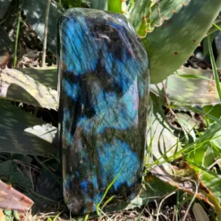 Alternative view of labradorite bleue polie de qualité supérieure 1,62kg