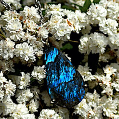 Pendentif goutte en labradorite brute bleue