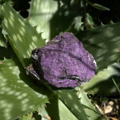 Alternative view of Purpurite brute