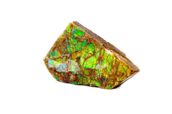 Ammolite