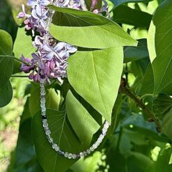 Alternative view of Collier en fluorite perles facettées