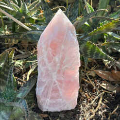 Alternative view of Pointe de quartz rose semi-poli grand format 33cm