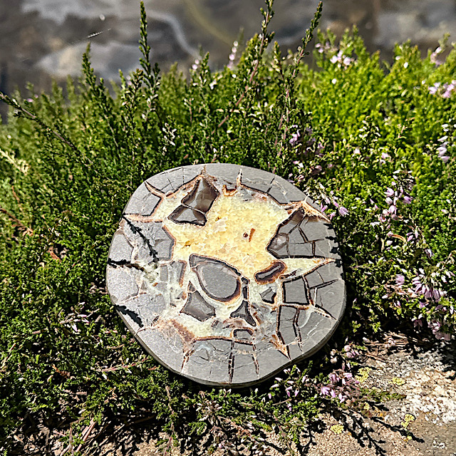 Madagascar Septarian Nodule - Image 4