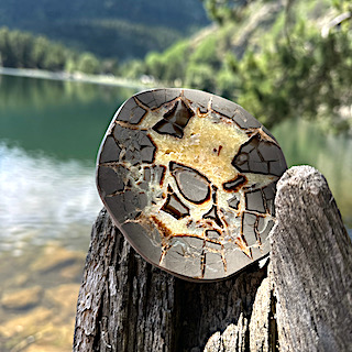 Madagascar Septarian Nodule - Image 7