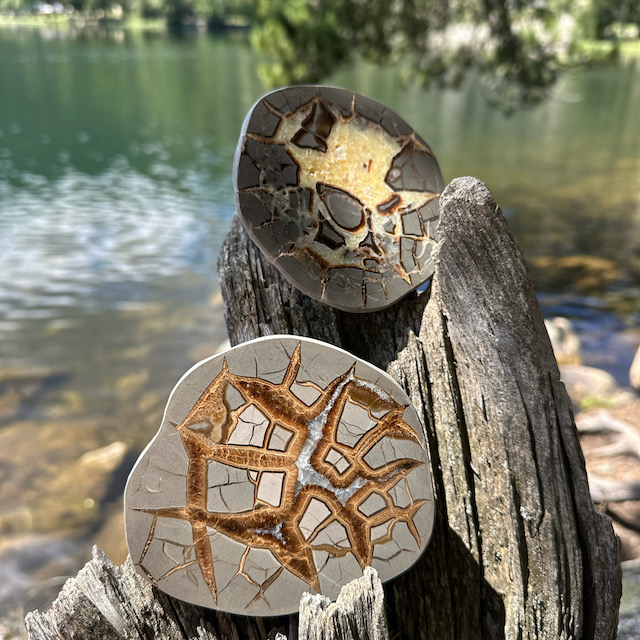 Madagascar Septarian Nodule