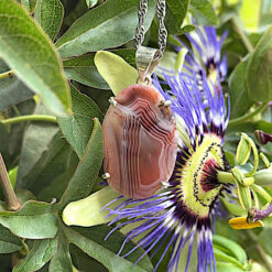 Alternative view of Pendentif en agate du Mexique orangée-rose
