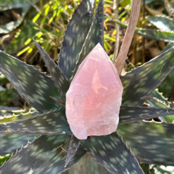 Pointe de quartz rose semi-poli