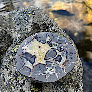 Madagascar Septarian Nodule - Image 2