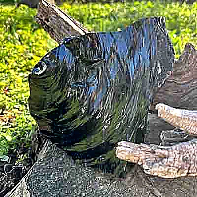 Bloc d'obsidienne noire brute 3,4KG