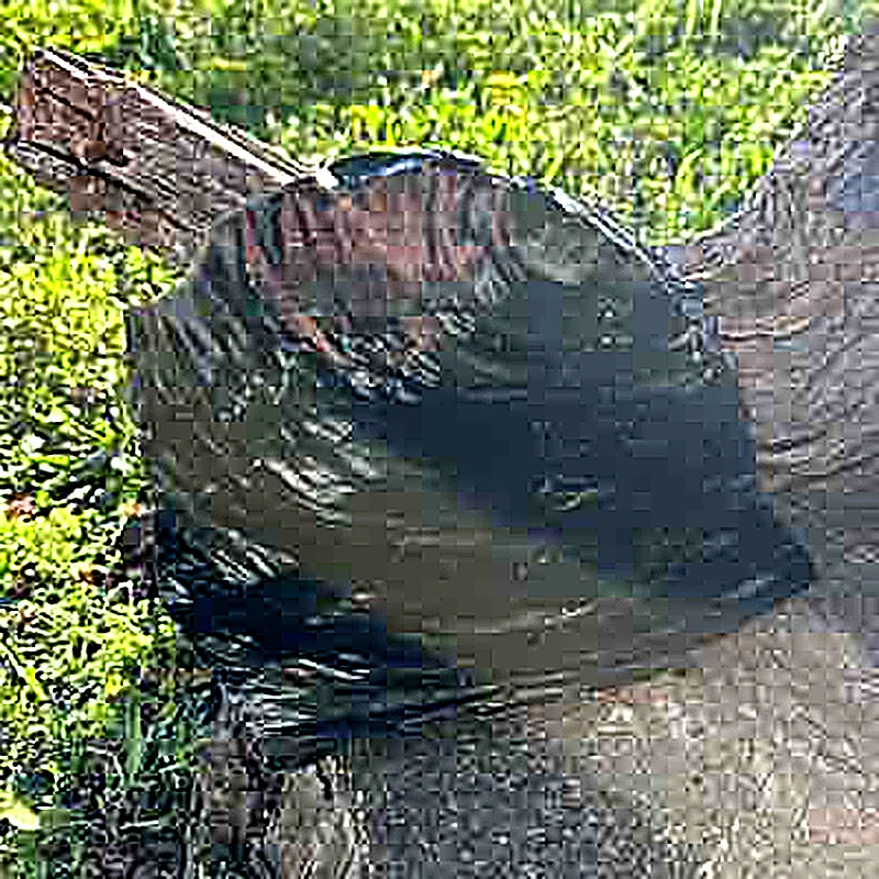 Bloc d'obsidienne noire brute 3,4KG – Image 2
