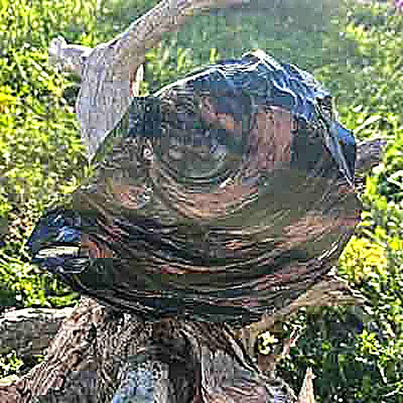 Bloc d'obsidienne noire brute 3,4KG – Image 5
