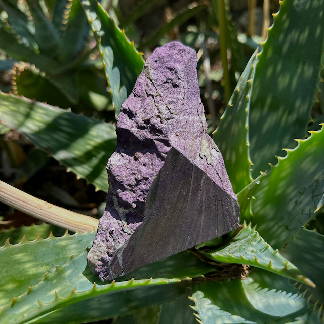 Semi-polished Purpurite 524 g