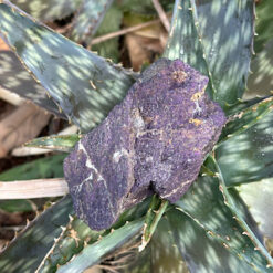 Alternative view of Raw Purpurite 536g