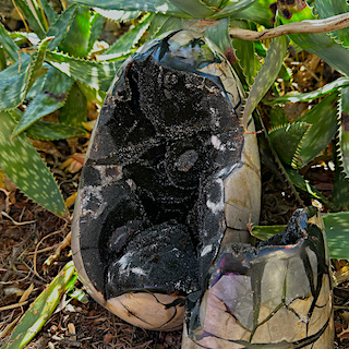 Wild Septaria Egg XL 18kg - 40cm - Image 4