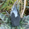 Semi-polished shungite point