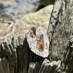 Raw Astrophyllite 6 cm
