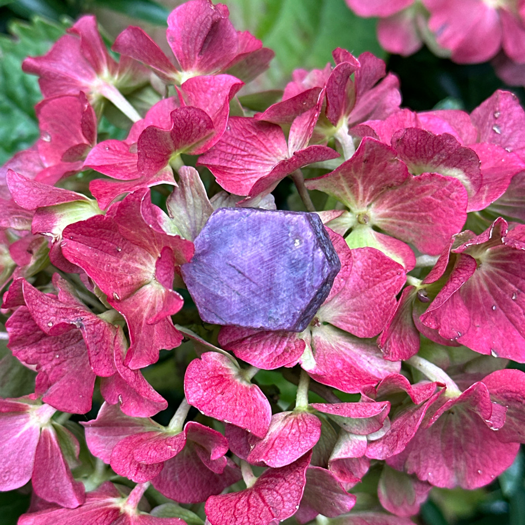 Raw ruby - 1.5 to 2cm - Image 6