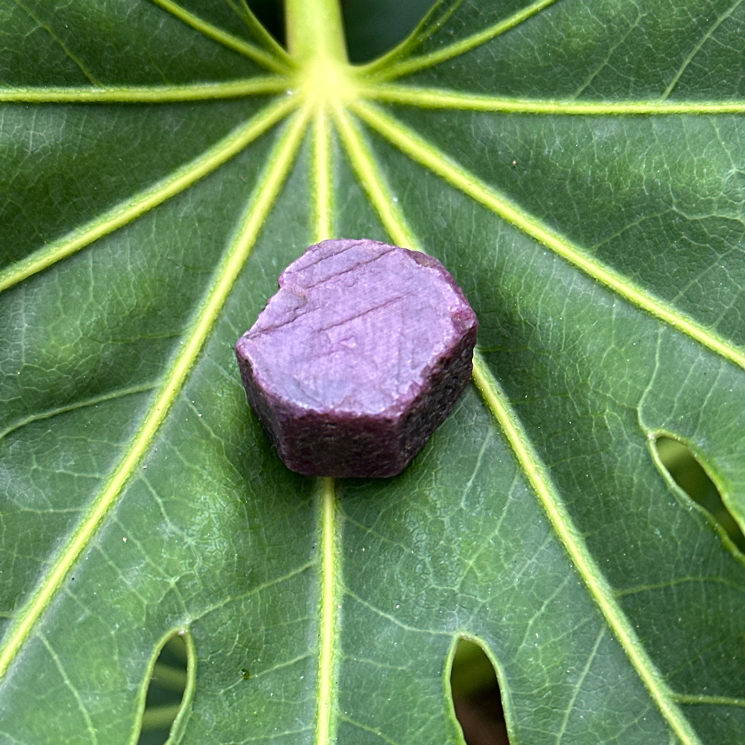 Raw ruby - 1.5 to 2cm - Image 4