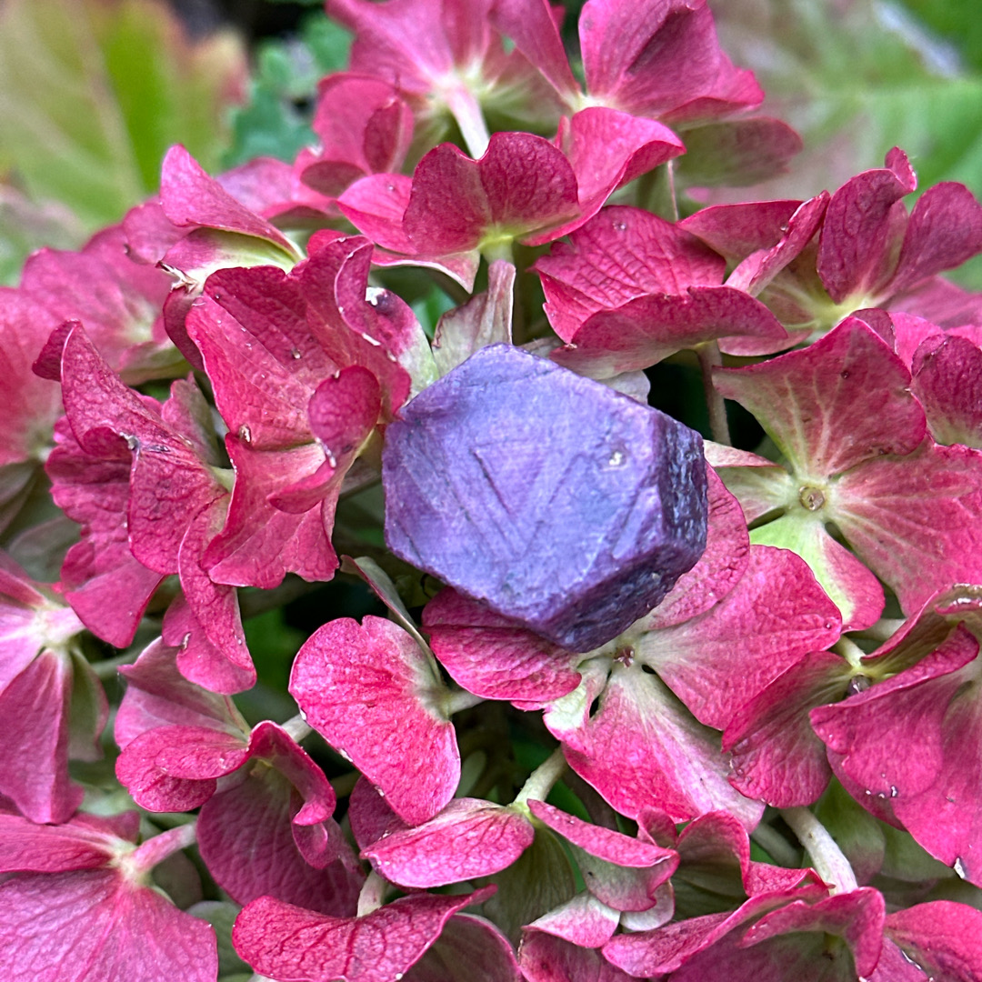 Raw ruby - 1.5 to 2cm - Image 2