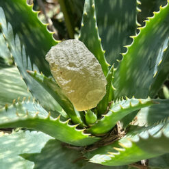 Alternative view of Verre lybique 7,5cm-80g