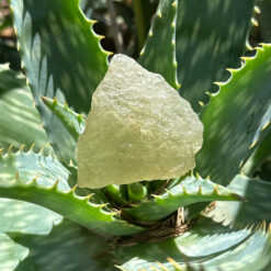 Libyan Desert Glass 7 cm - 104 g