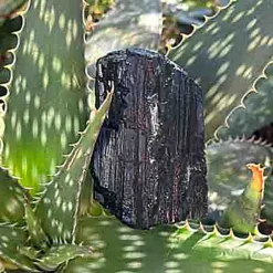 Alternative view of Tourmaline noire brute 671G