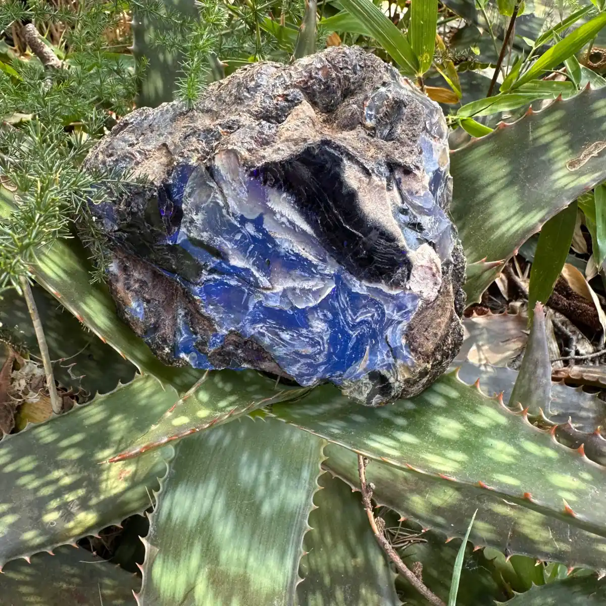 Grande pièce d'Ambre bleu brut de Sumatra 343g
