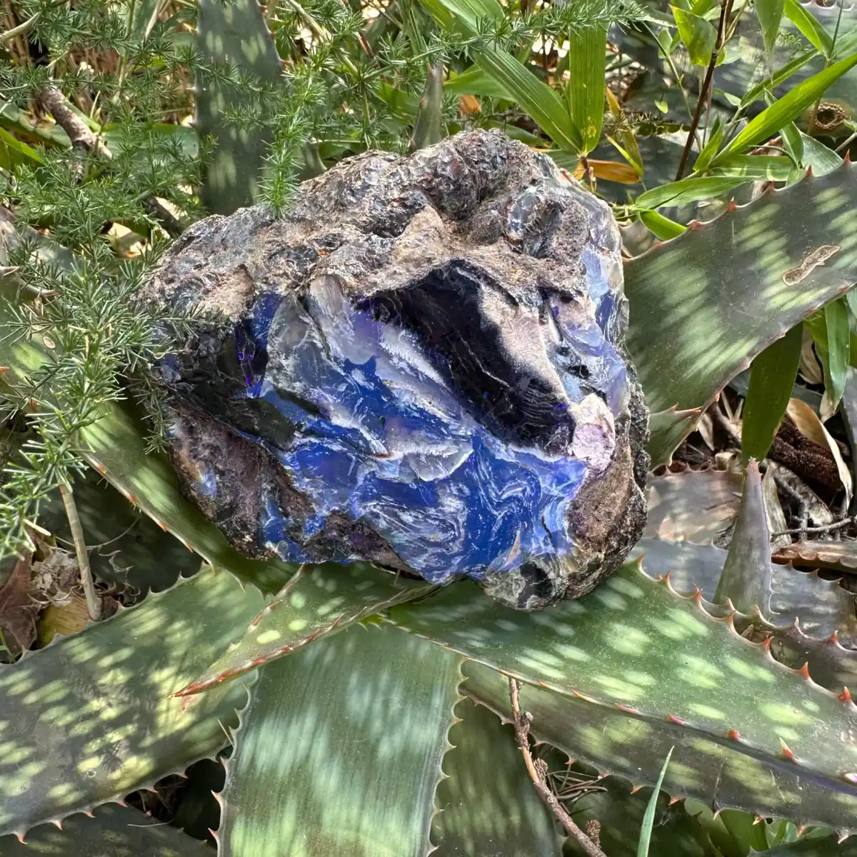 Grande pièce d'Ambre bleu brut de Sumatra 343g – Image 2