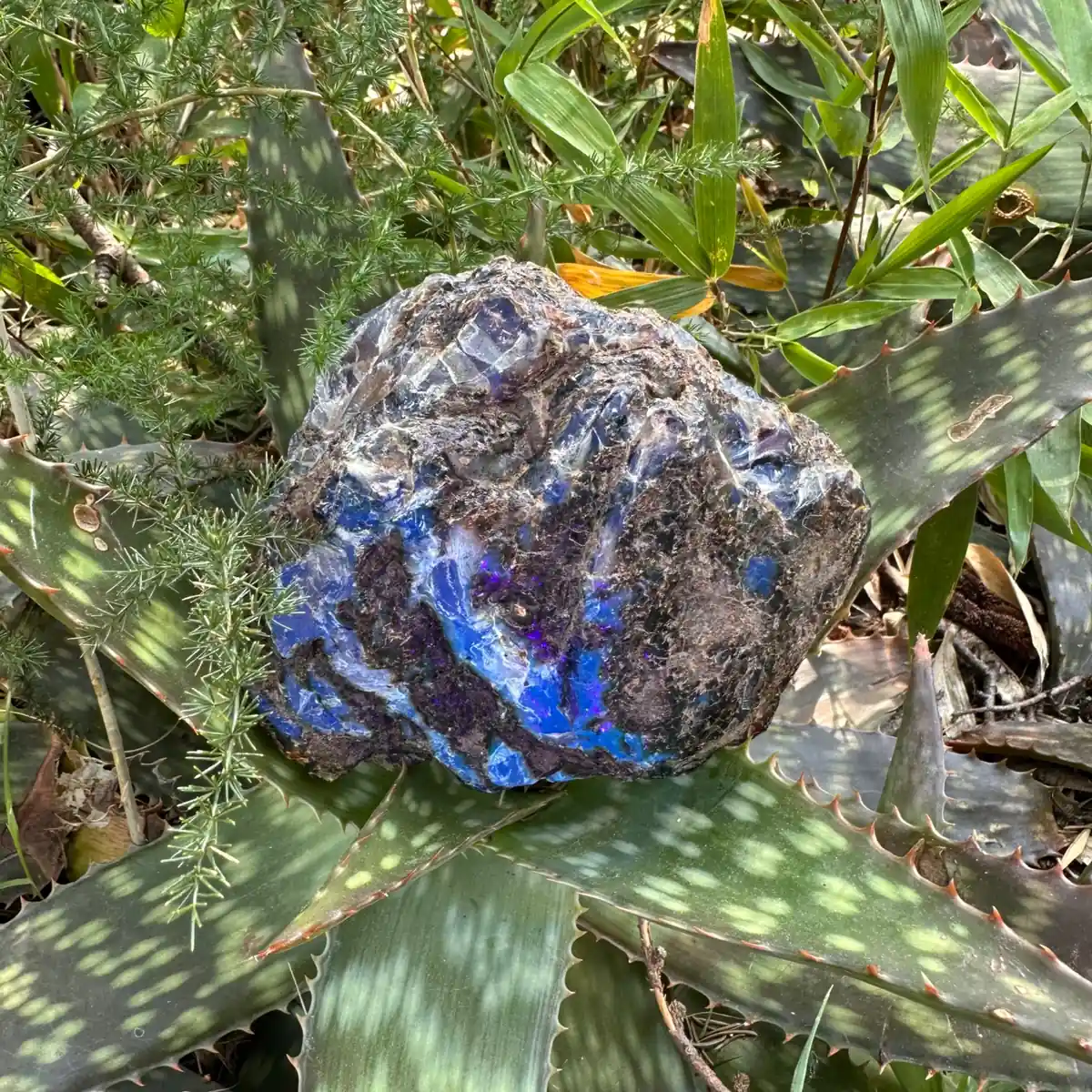 Grande pièce d'Ambre bleu brut de Sumatra 343g – Image 4