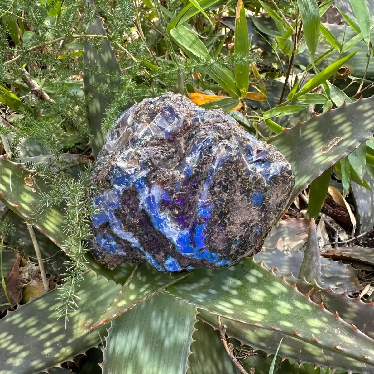 Grande pièce d'Ambre bleu brut de Sumatra 343g – Image 5