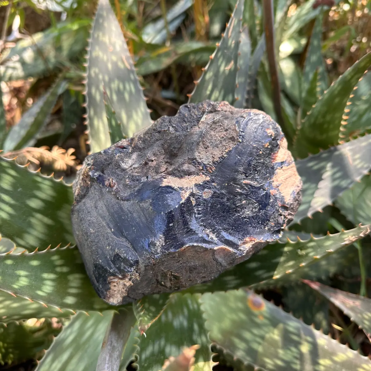 Grande pièce d'Ambre bleu brut de Sumatra 796g – Image 2
