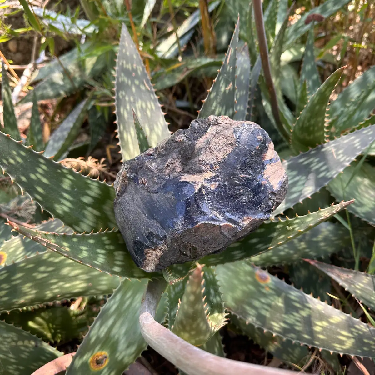 Grande pièce d'Ambre bleu brut de Sumatra 796g – Image 3