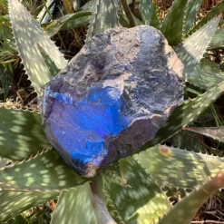 Grande pièce d'Ambre bleu brut de Sumatra 796g