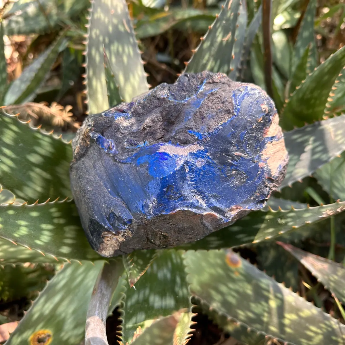 Grande pièce d'Ambre bleu brut de Sumatra 796g – Image 5